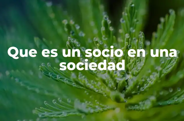 Que es un Socio en una Sociedad