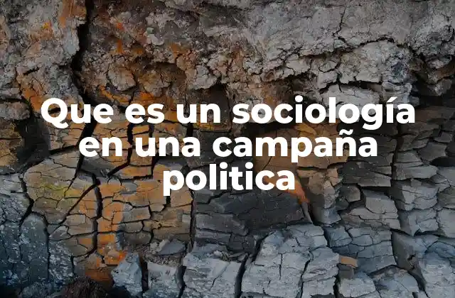Que es un Sociología en una Campaña Politica