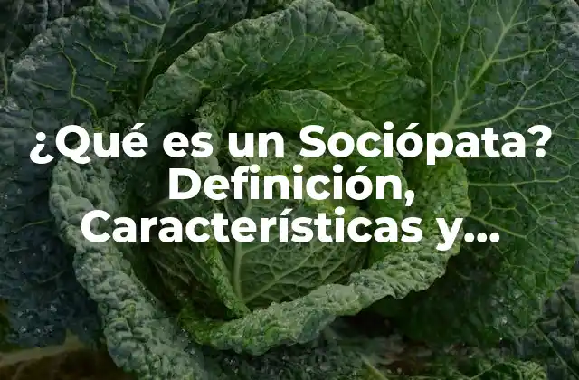 ¿qué es un Sociópata? Definición, Características y Tratamiento