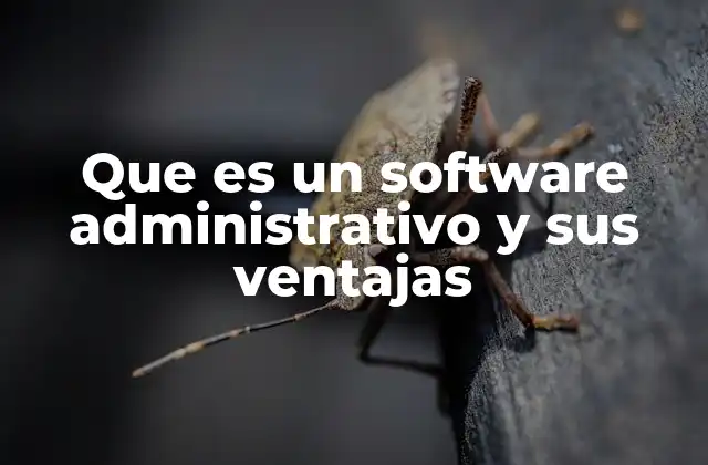 Que es un Software Administrativo y Sus Ventajas 2 La importancia de la automatización en la gestión empresarial