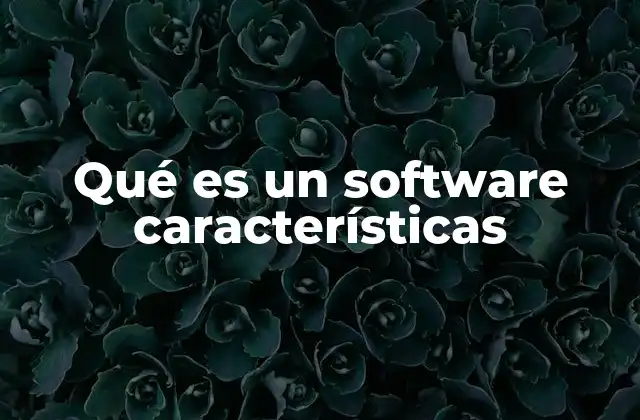 Qué es un Software Características