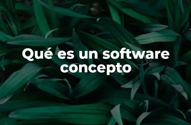 Qué es un Software Concepto