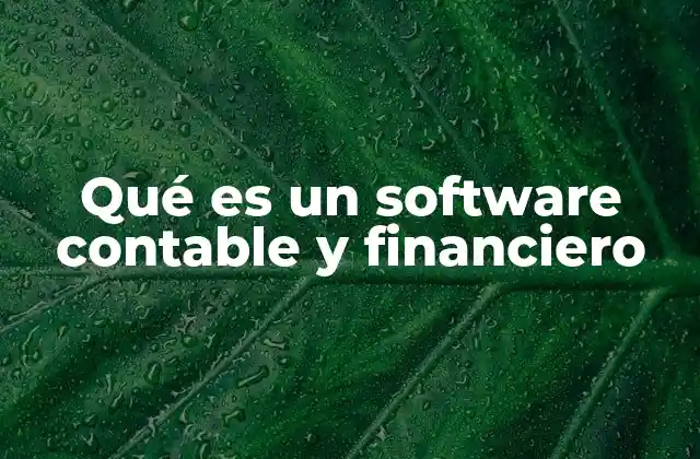 Qué es un Software Contable y Financiero