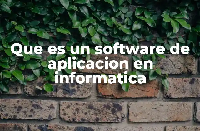 Que es un Software de Aplicacion en Informatica