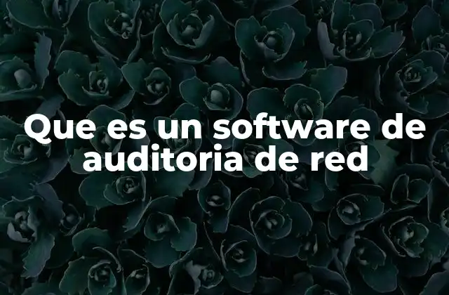Que es un Software de Auditoria de Red