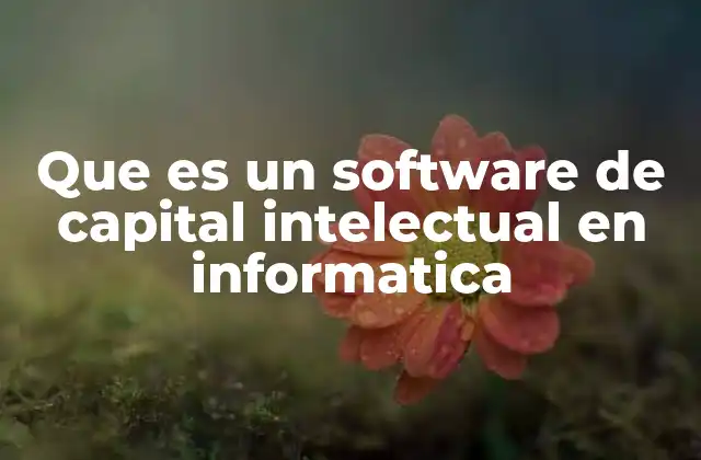 Que es un Software de Capital Intelectual en Informatica