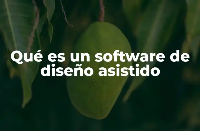 Qué es un Software de Diseño Asistido