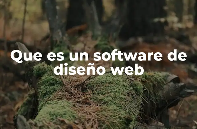 Que es un Software de Diseño Web