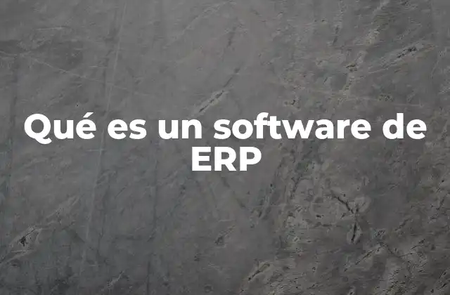 Qué es un Software de Erp