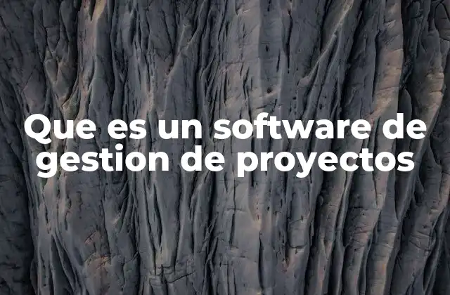 Que es un Software de Gestion de Proyectos