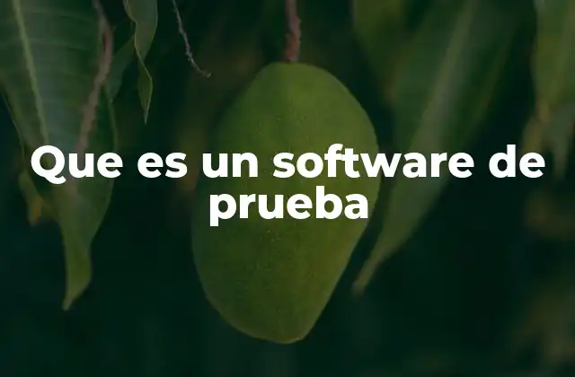 Que es un Software de Prueba