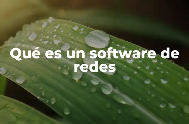 Qué es un Software de Redes