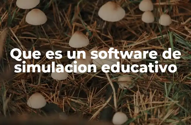 Que es un Software de Simulacion Educativo