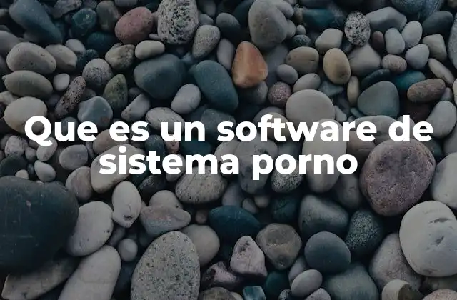Que es un Software de Sistema Porno