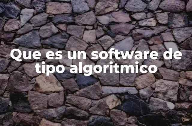 Que es un Software de Tipo Algoritmico