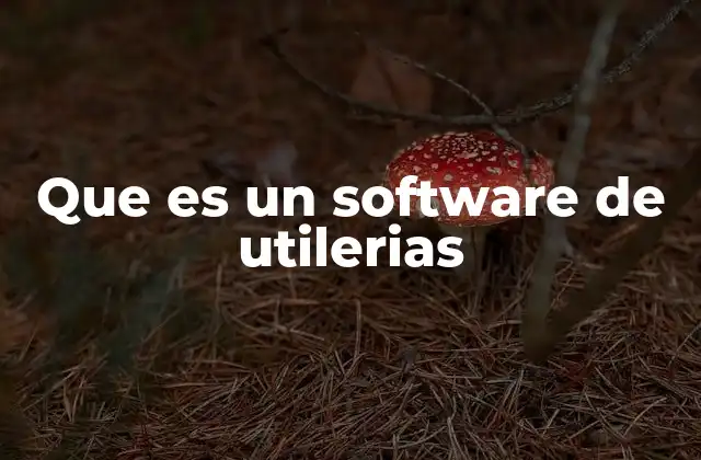 Que es un Software de Utilerias