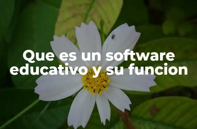 Que es un Software Educativo y Su Funcion