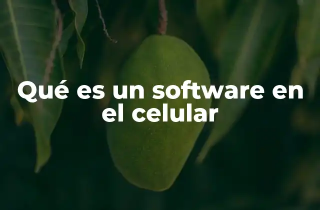 Qué es un Software en el Celular