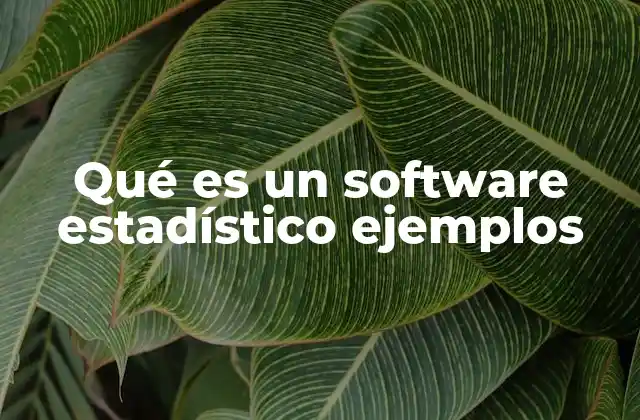 Qué es un Software Estadístico Ejemplos