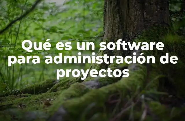 Qué es un Software para Administración de Proyectos