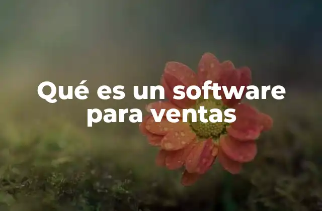 Qué es un Software para Ventas