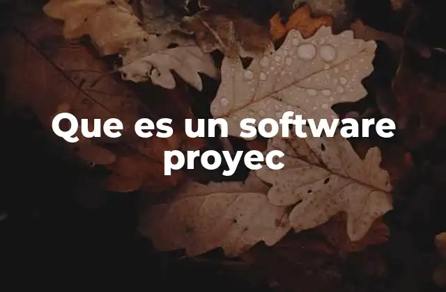 Que es un Software Proyec