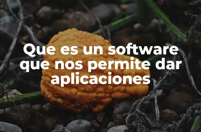 Que es un Software que Nos Permite Dar Aplicaciones