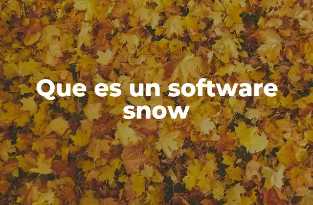Que es un Software Snow