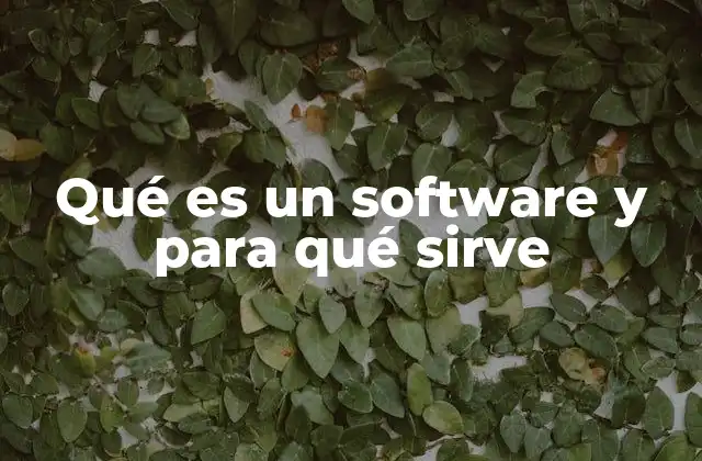 Qué es un Software y para Qué Sirve