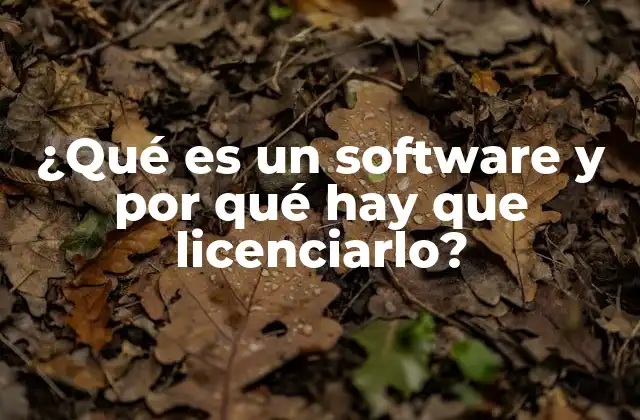¿qué es un Software y por Qué Hay que Licenciarlo?