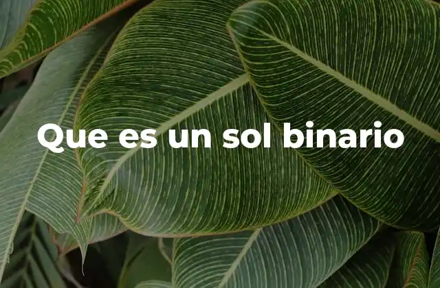Que es un Sol Binario