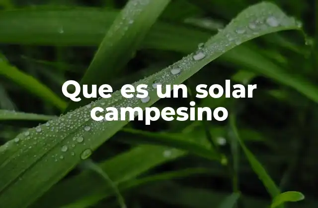Que es un Solar Campesino