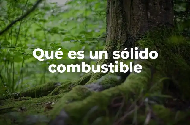 Qué es un Sólido Combustible