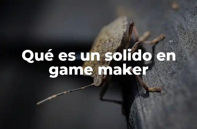 Qué es un Solido en Game Maker