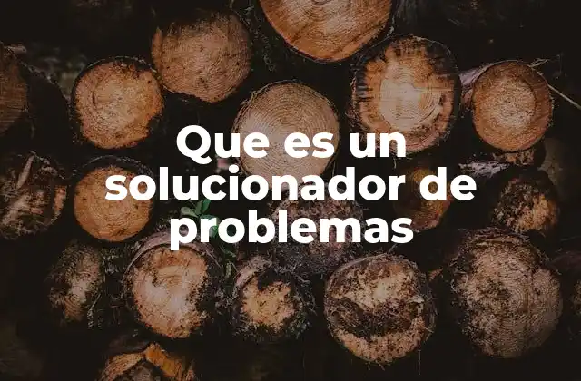 Que es un Solucionador de Problemas