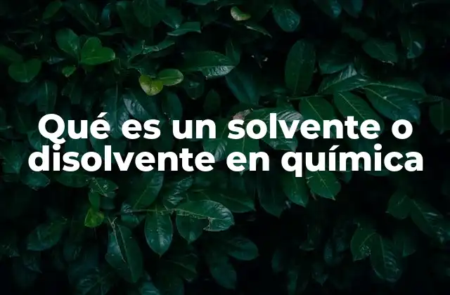 Qué es un Solvente o Disolvente en Química 2 El papel de los solventes en la formación de soluciones