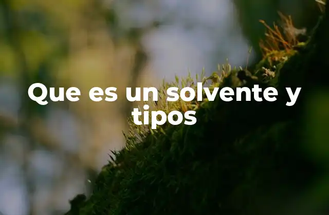 Que es un Solvente y Tipos