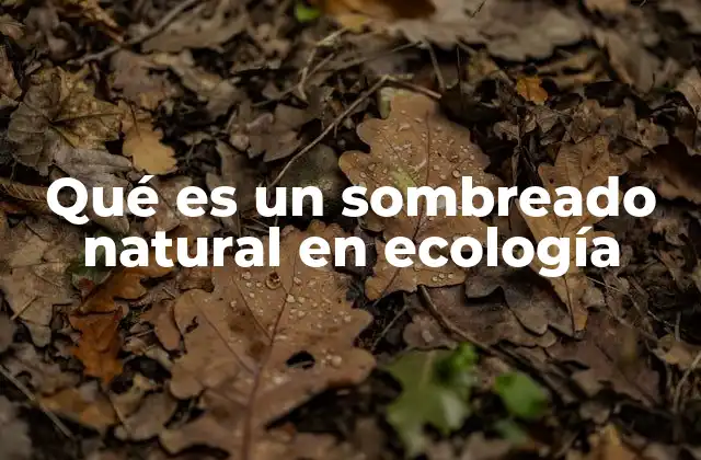 El rol del sombreado natural en la estructura de los ecosistemas