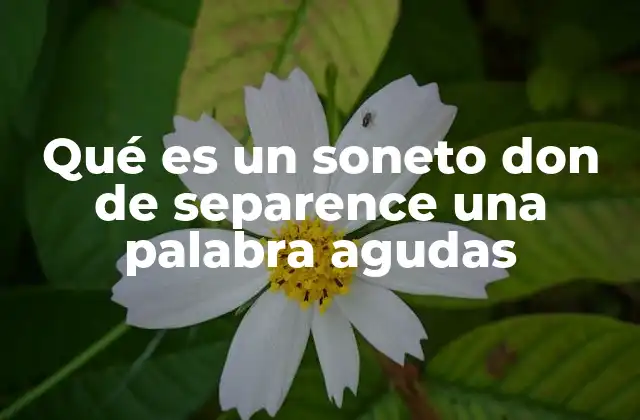 Qué es un Soneto Don de Separence una Palabra Agudas