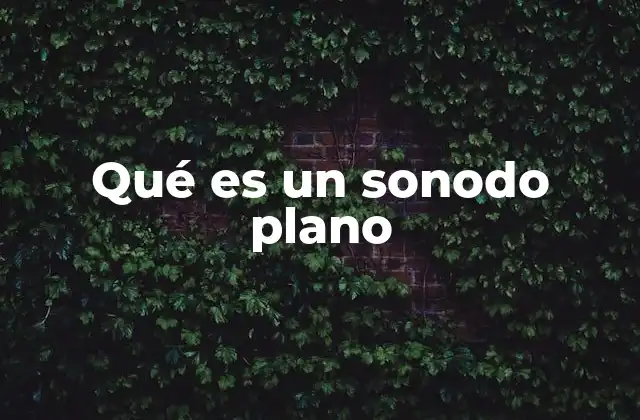 Qué es un Sonodo Plano