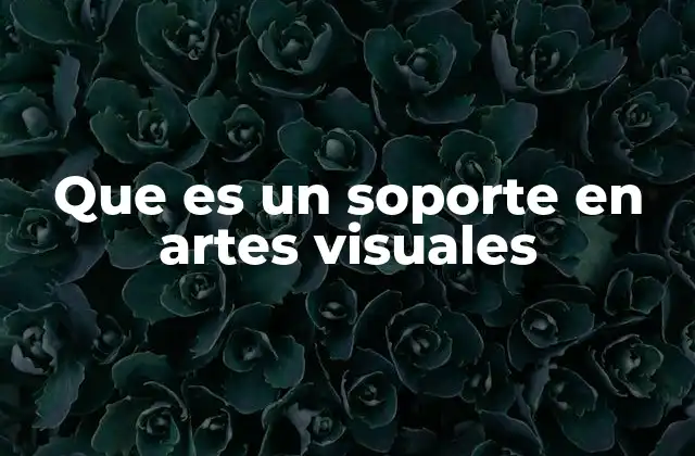 Que es un Soporte en Artes Visuales