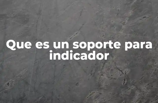 Que es un Soporte para Indicador