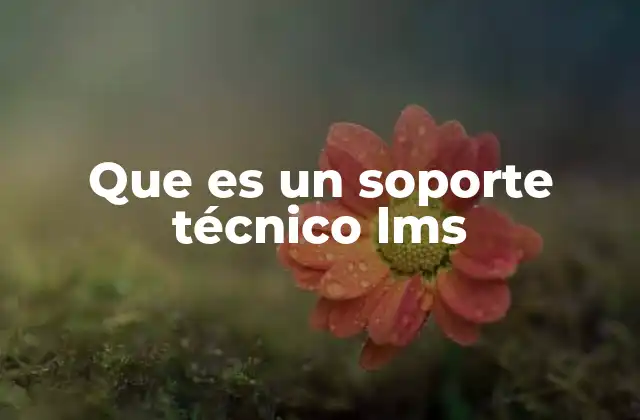 Que es un Soporte Técnico Lms