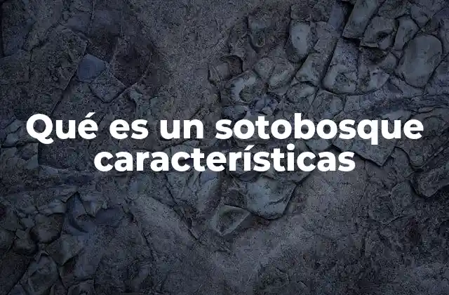 Qué es un Sotobosque Características