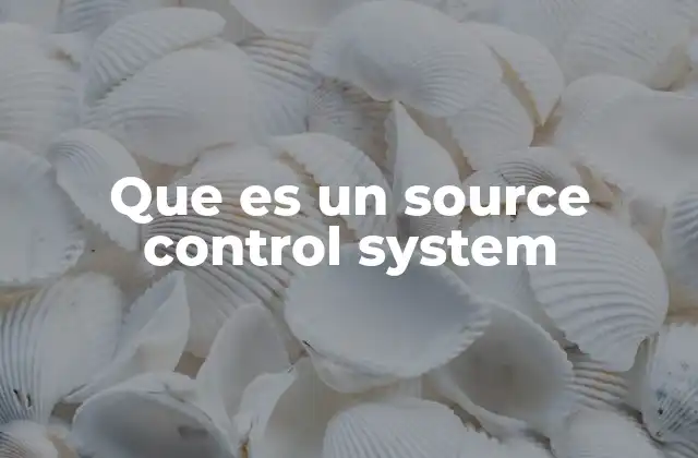 Que es un Source Control System