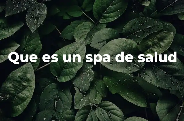 Que es un Spa de Salud