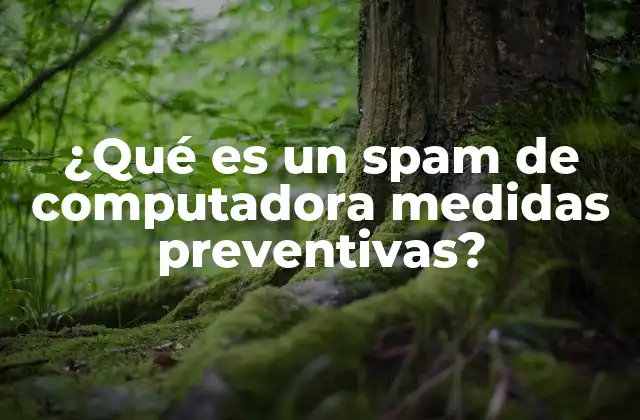 ¿qué es un Spam de Computadora Medidas Preventivas?