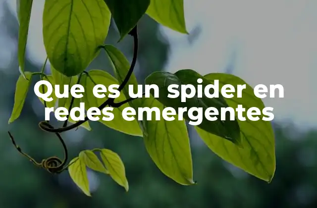 Que es un Spider en Redes Emergentes