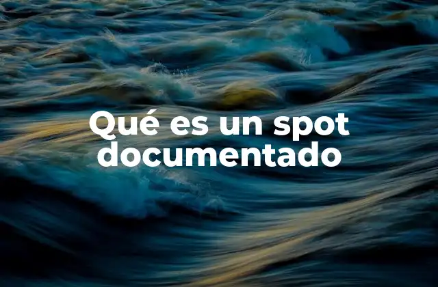 Qué es un Spot Documentado