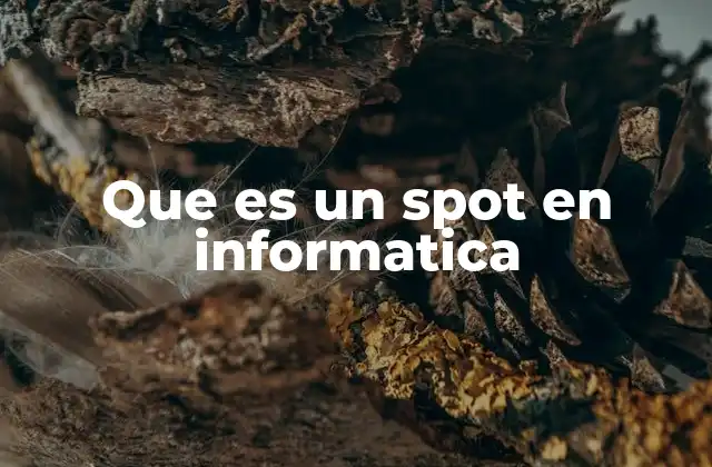 Que es un Spot en Informatica 2 Aplicaciones del término spot en sistemas informáticos